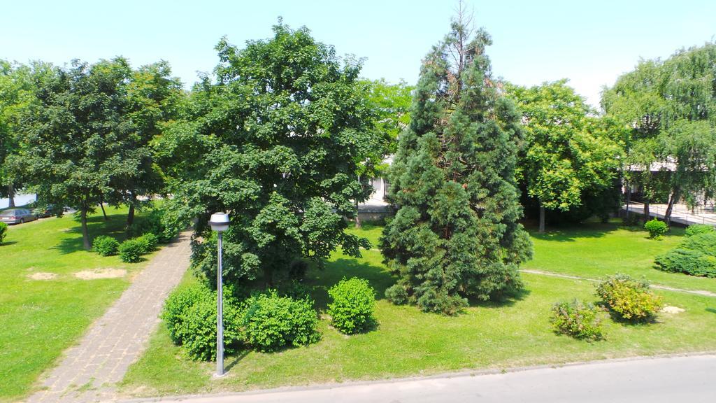 Hostel Levicki Slavonski Brod Værelse billede